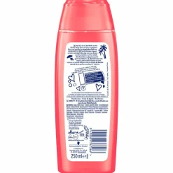 Online 6x Douchegel Paradise Moments 250 ml Bad & Douche