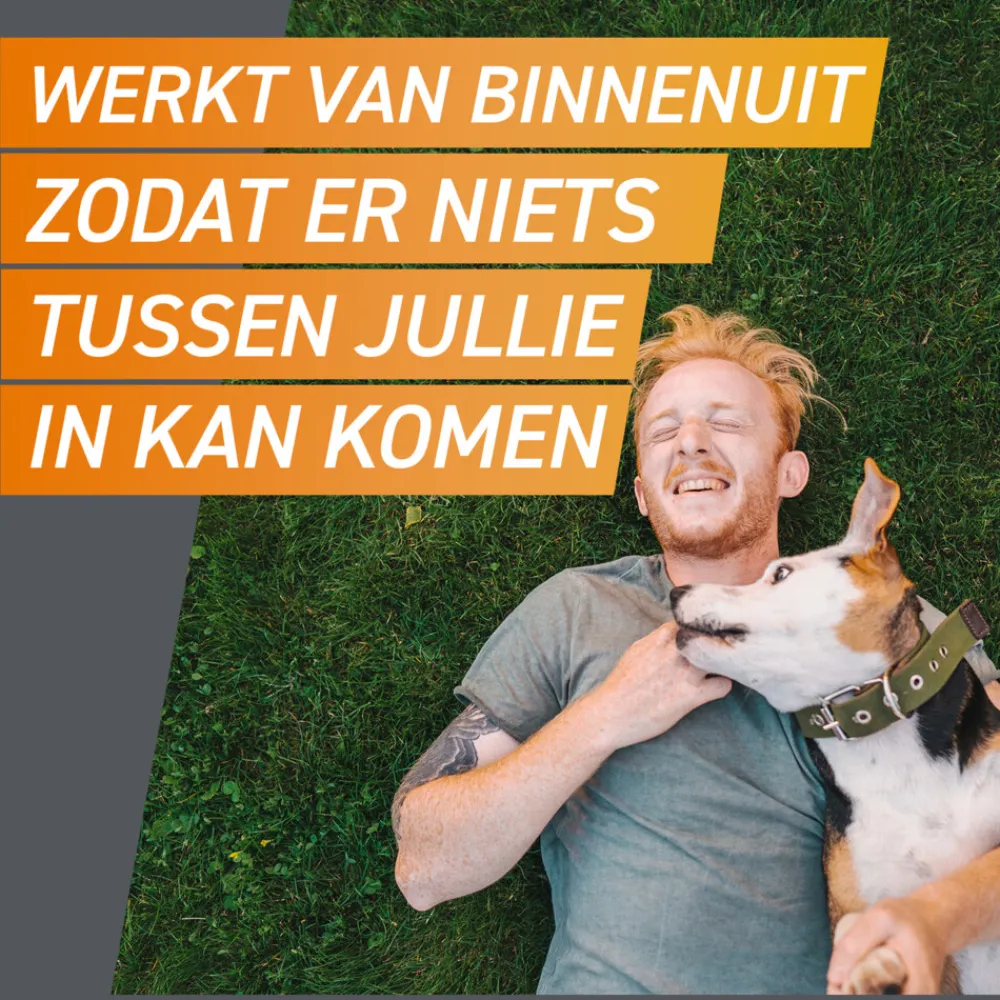 Hot 2x Hond XL 25-50 kg 3 tabletten Vlo, Teek & Worm