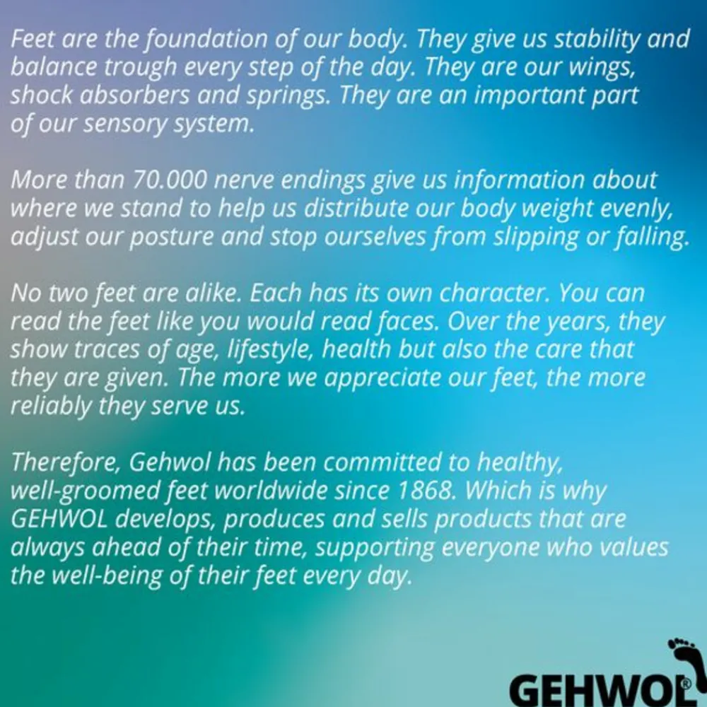 Voetverzorging<Gehwol 2x Beenbalsem 125 ml