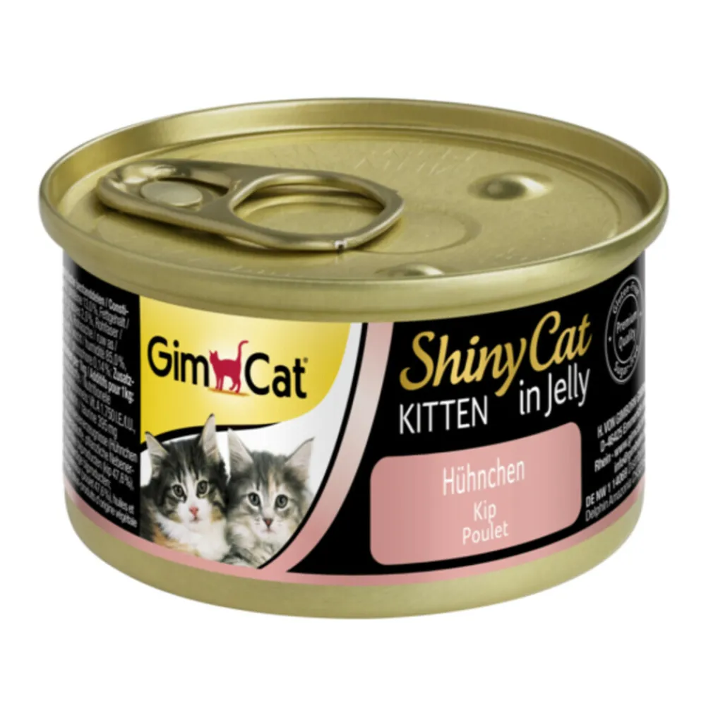 Hot 24x ShinyCat Kitten in Jelly Kip 70 gr Kattenvoer