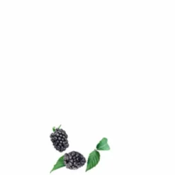 4x Conditioner Long & Loving It 200 ml^Guhl Sale