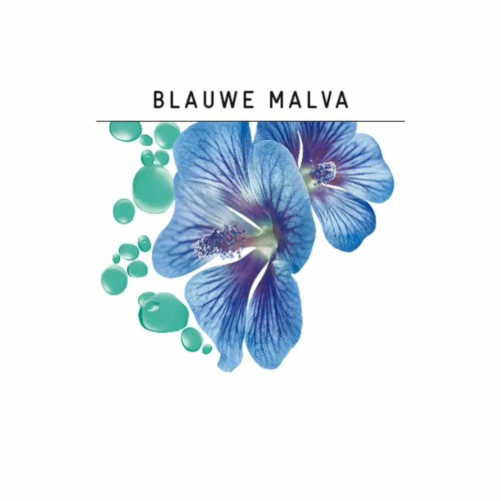 Shampoo<Guhl 4x Shampoo Anti Roos 250 ml