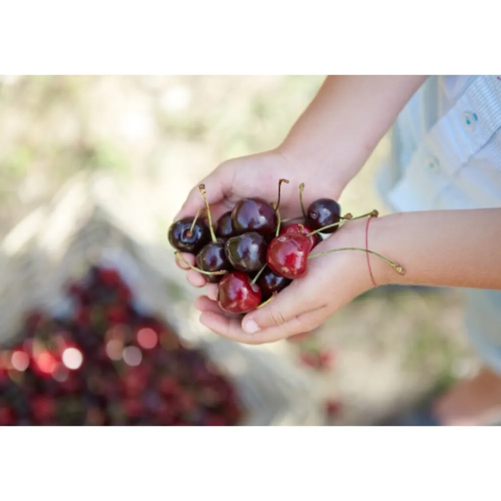 6x Cherry Zero 1,25 liter^Hero Clearance