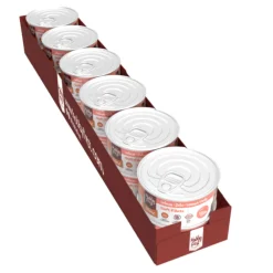 Outlet 12x Blik Zachte Filets Zalm 70 gr Kattenvoer