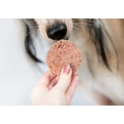 Hot 12x Gestoomde Rund & Kip 600 gr Hondenvoer