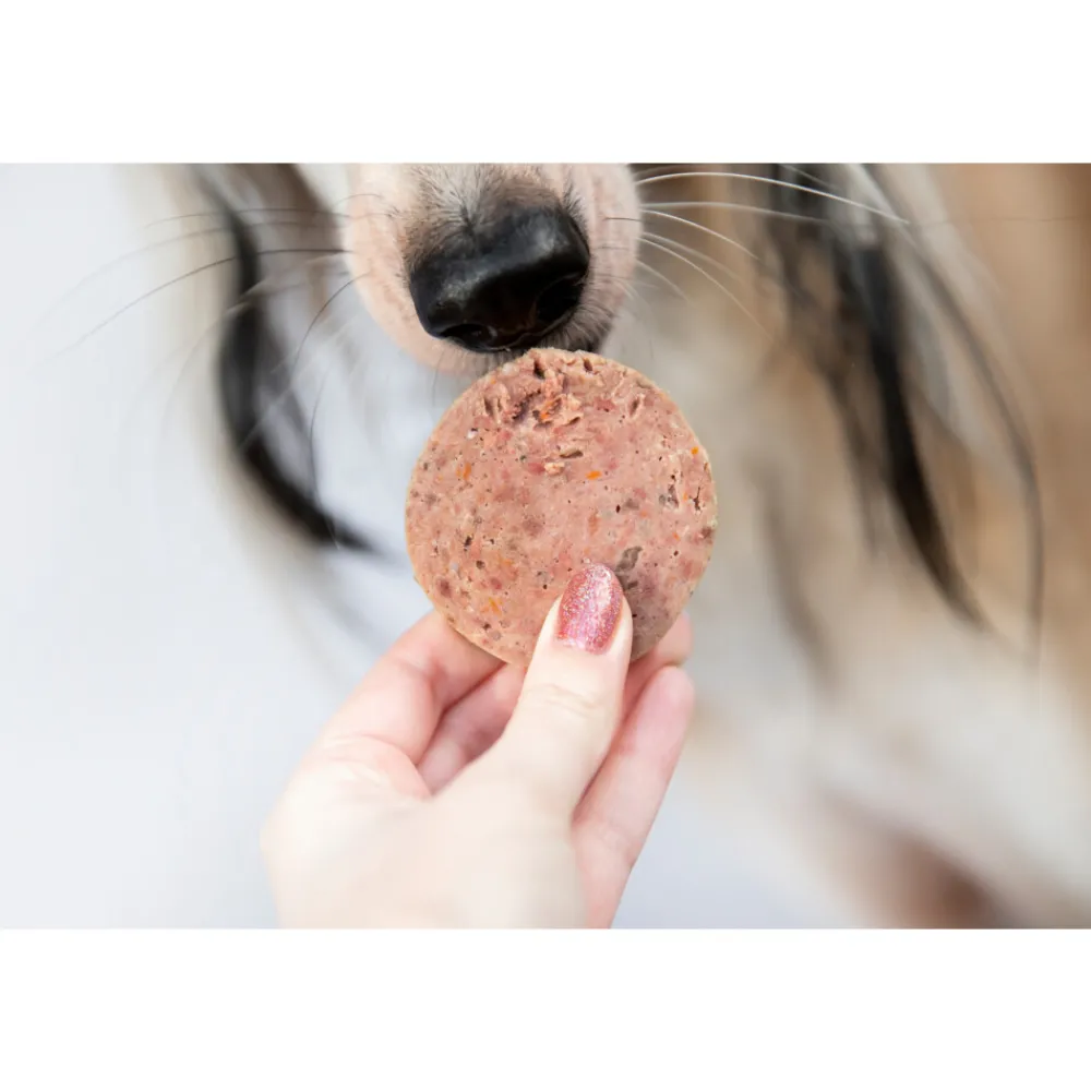 Hot 12x Gestoomde Rund & Kip 600 gr Hondenvoer