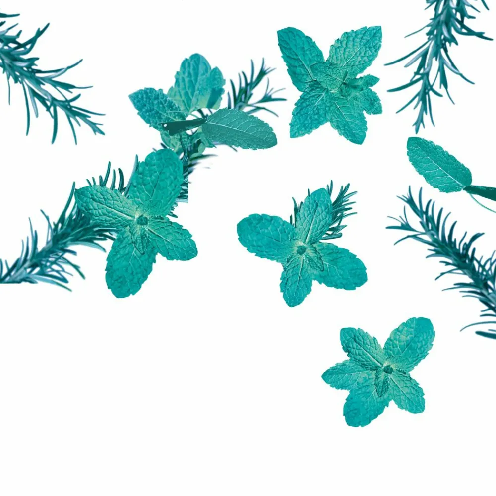 6x Bodylotion Goodbye Stress 200 ml^Kneipp Best