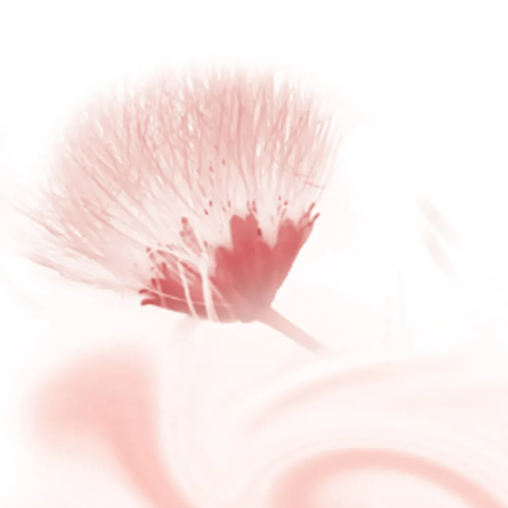 6x Douche Foam Silky Secret 200 ml^Kneipp Hot