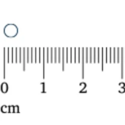 Zwangerschapsverzorging|Vitaminen & Supplementen<Lucovitaal 2x Foliumzuur + Vitamine D3 120 tabletten