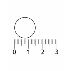2x Probiotica Mix van 6 Bacteriënstammen 30 kauwtabletten^Lucovitaal Outlet