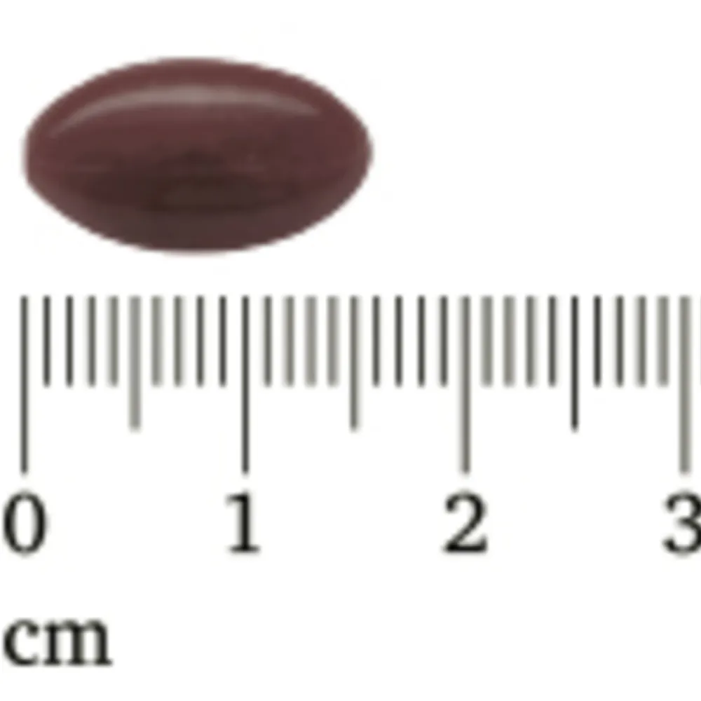 Hart, Bloed & Cholesterol<Lucovitaal 2x Rode Gist Rijst met Visolie en Q10 63 capsules