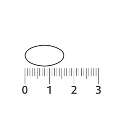 2x Sterk IJzer Complex 30 tabletten Mineralen