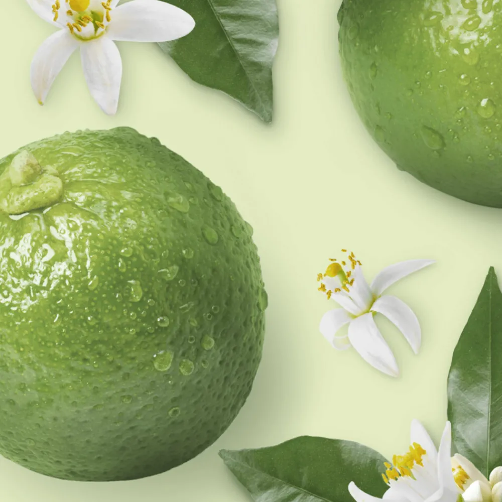 Allesreiniger<Mr. Propre 6x Allesreiniger Bergamot 1 liter