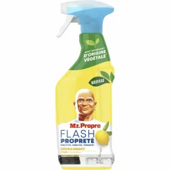 10x Ontvetter Allesreiniger Spray Flash Properté Citroen 500 ml Allesreiniger