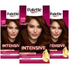 Online 3x Intensive Oil-Care Color Haarkleuring 650 Kastanje Middenbruin Haarkleuring