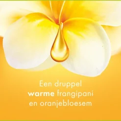 Bad & Douche<Palmolive 6x Douchegel Aroma Essences Forever Happy 250 ml