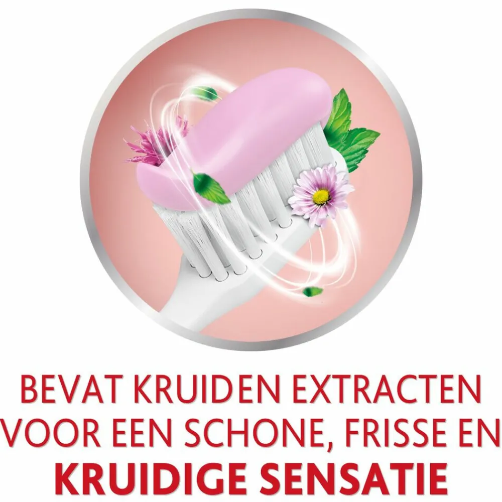 Outlet 3x Tandpasta Herbal Twist 75 ml Spoelen & Poetsen