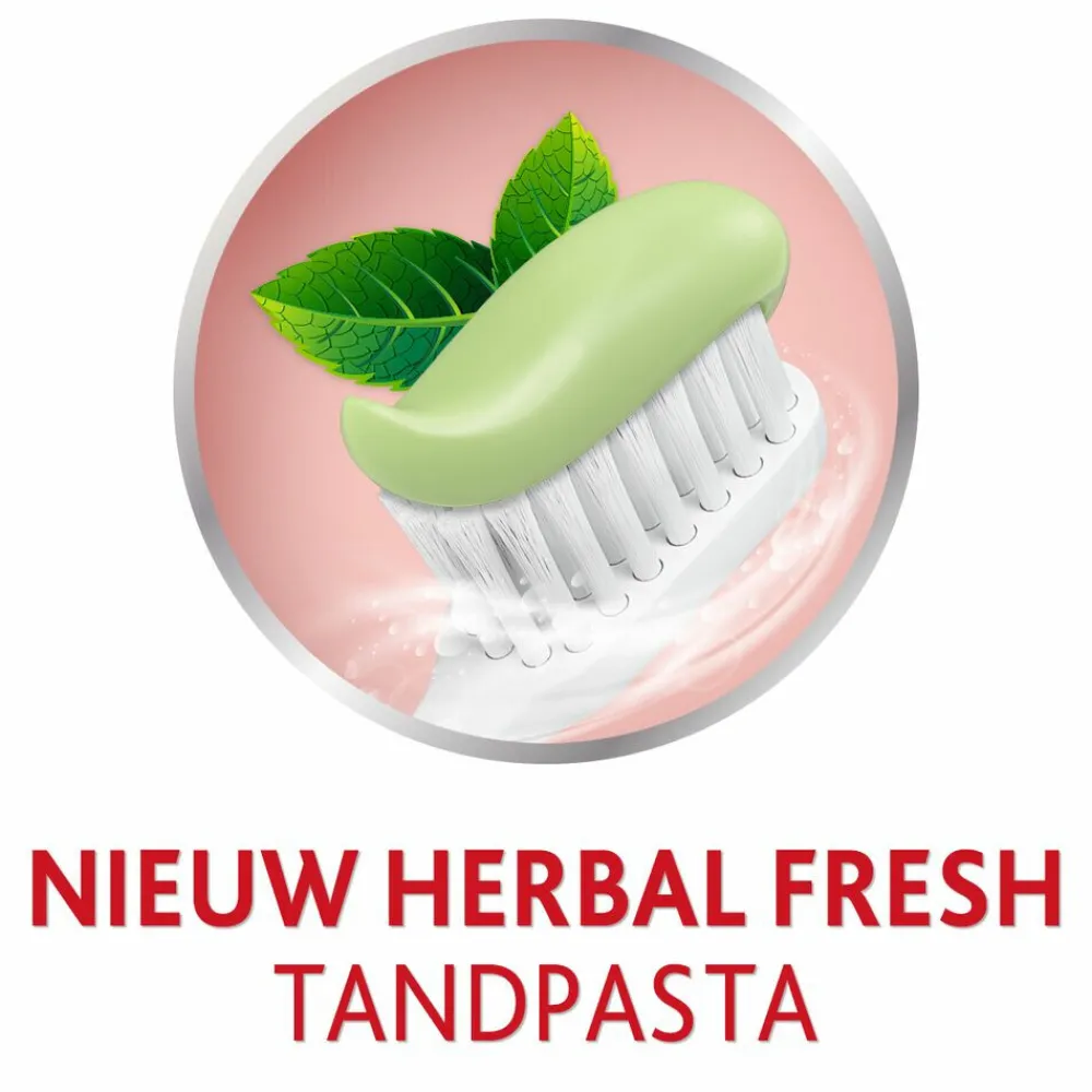 Best 3x Tandpasta Herbal Fresh 75 ml Spoelen & Poetsen