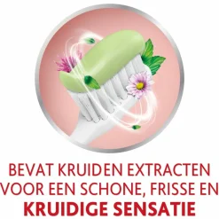 Best 3x Tandpasta Herbal Fresh 75 ml Spoelen & Poetsen