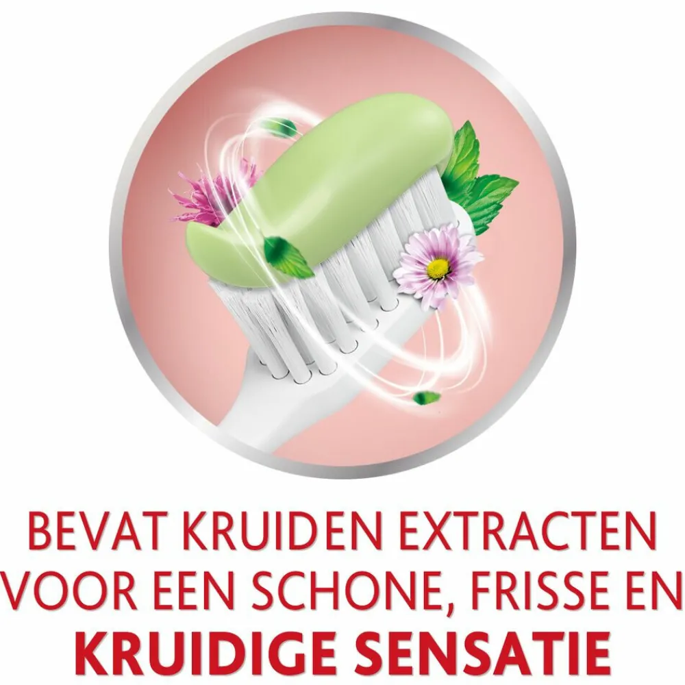 Best 3x Tandpasta Herbal Fresh 75 ml Spoelen & Poetsen