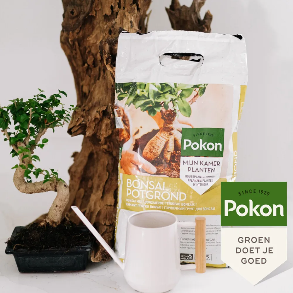 4x Bonsai Potgrond Bonsai 5 liter^Pokon Outlet