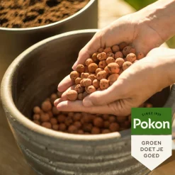 Alles Voor Kamerplanten<Pokon 4x Hydrokorrels 5 liter