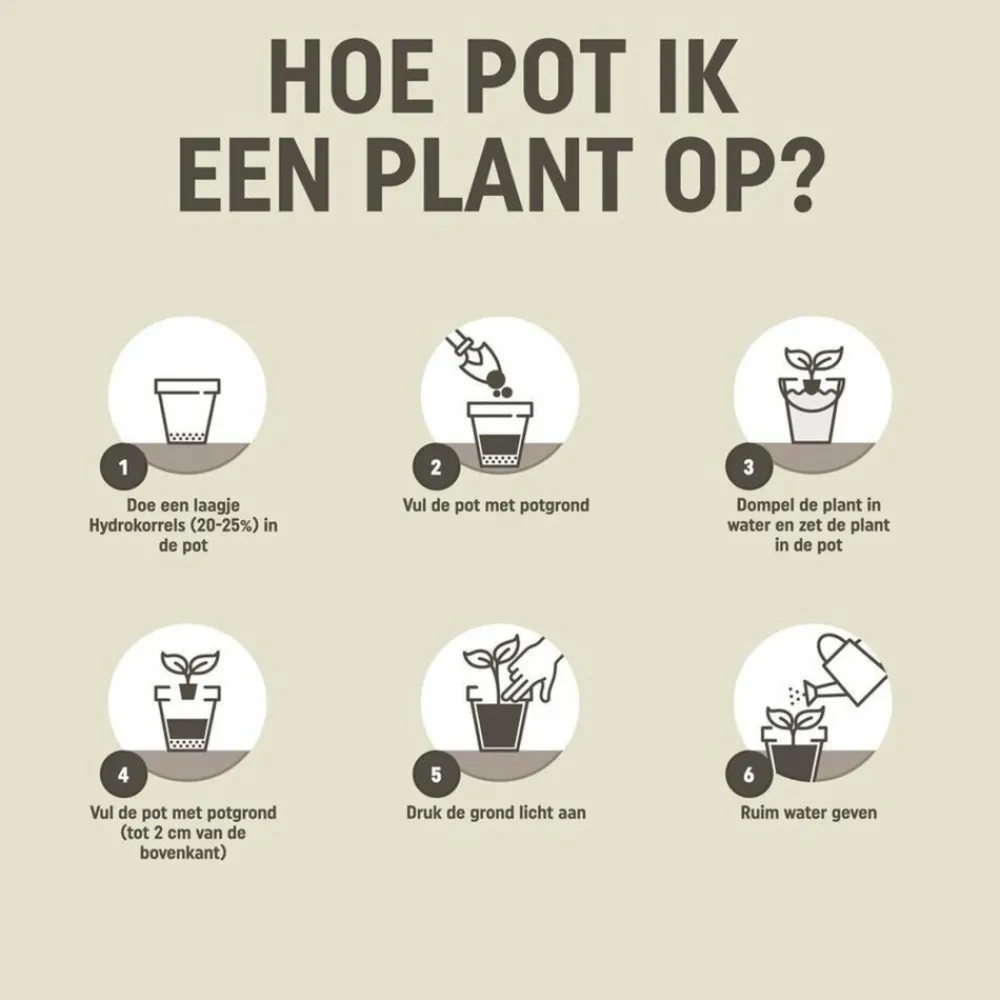 Alles Voor Kamerplanten<Pokon 4x Hydrokorrels 5 liter