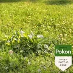 Onkruidbestrijding|Grond En Bemesting<Pokon 6x Onkruid Weg voor 40m2 800 gr