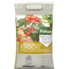 5x RHP Anthurium Potgrond Anthurium 5 liter^Pokon