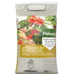 5x RHP Anthurium Potgrond Anthurium 5 liter^Pokon