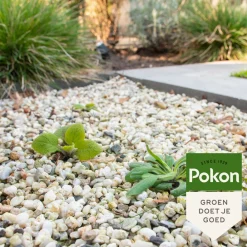 12x Tegen Onkruid Concentraat 225 ml^Pokon New