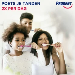 12x Tandpasta Cool Mint 75 ml^Prodent Outlet