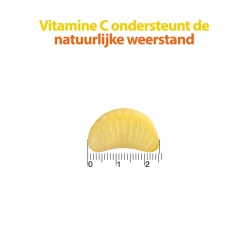 Best 2x Vitamine C 125 mg Gummies 60 stuks Vitaminen