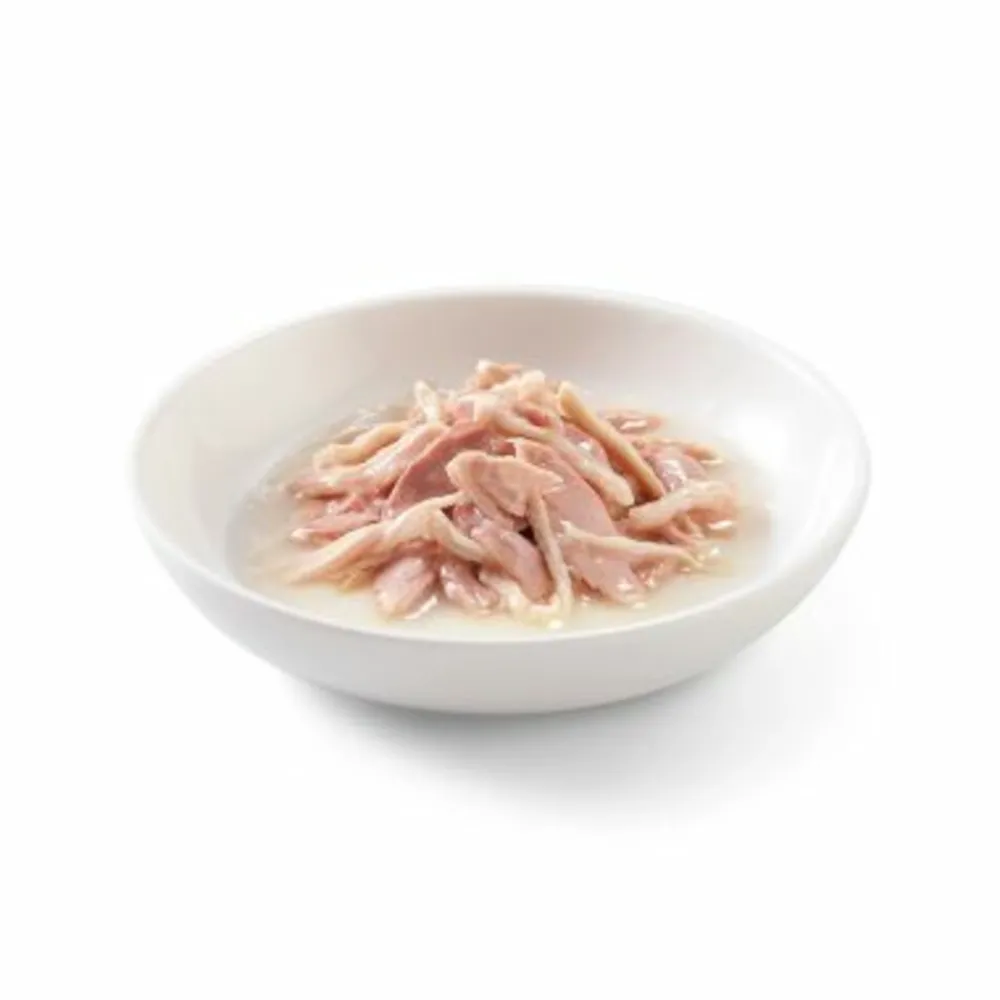 Kattenvoer<Schesir 12x Complete & Balanced Kattenvoer Tonijn en Kip in Boullion 85 gr