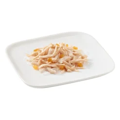 10x Hondenvoer Kip - Papaya 150 gr^Schesir Outlet