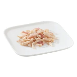 Hondenvoer<Schesir 10x Hondenvoer Kipfilet en Rundvlees in Gelei 150 gr