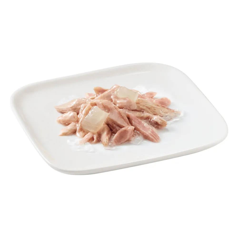 Hot 10x Hondenvoer Puppy Tonijn Aloe in Gelei 150 gr Hondenvoer