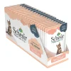 20x Kattenvoer Kitten 3-12 Kip in Gelei 85 gr^Schesir Discount