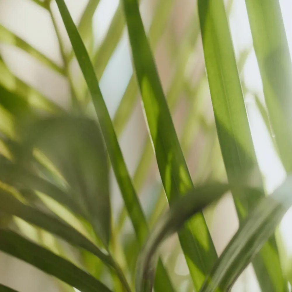 Bad & Douche<Sence 6x Of Wellness Bath Foam Energise 400 ml