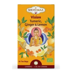 Online 3x Biologische Thee Zakjes Vision 16 stuks Thee