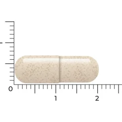 Discount 2x Ashwagandha Ksm 60 vegacapsules Rustgevend & Slapen