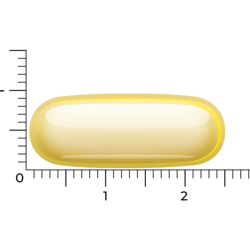 Best 2x Omega 3 1000 TG Vegan 60 softgels Hart, Bloed & Cholesterol|Speciale Bestanddelen