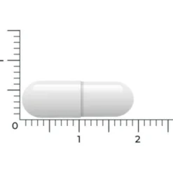 Speciale Bestanddelen<Vitakruid 2x S-Acetyl-L-Glutathion 90 vegacapsules