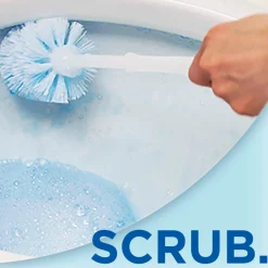 Online 12x Ontkalker Nr. 1 750 ml Toiletartikelen