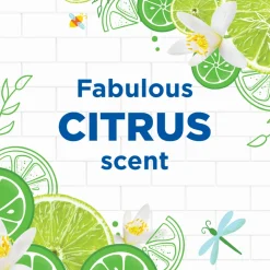 Toiletartikelen<WC Eend 8x Toiletblok Active Clean Duopack Citrus 2 stuks