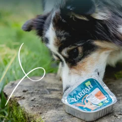 Hondenvoer<Yarrah 12x Bio Alu Paté Grainfree Hondenvoer Nat Kip & Eend 150 gr