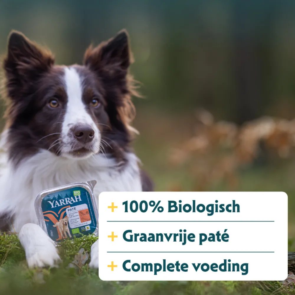 Hondenvoer<Yarrah 12x Bio Alu Paté Grainfree Hondenvoer Nat Kip & Eend 150 gr