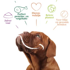 New 12x Bio Hondenvoer Chunks Kip 405 gr Hondenvoer