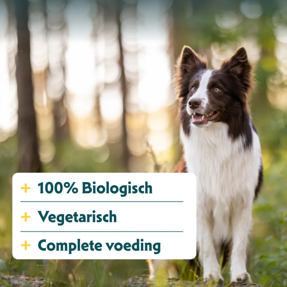 12x Bio Hondenvoer Chunks Vegetarisch 150 gr^Yarrah Clearance