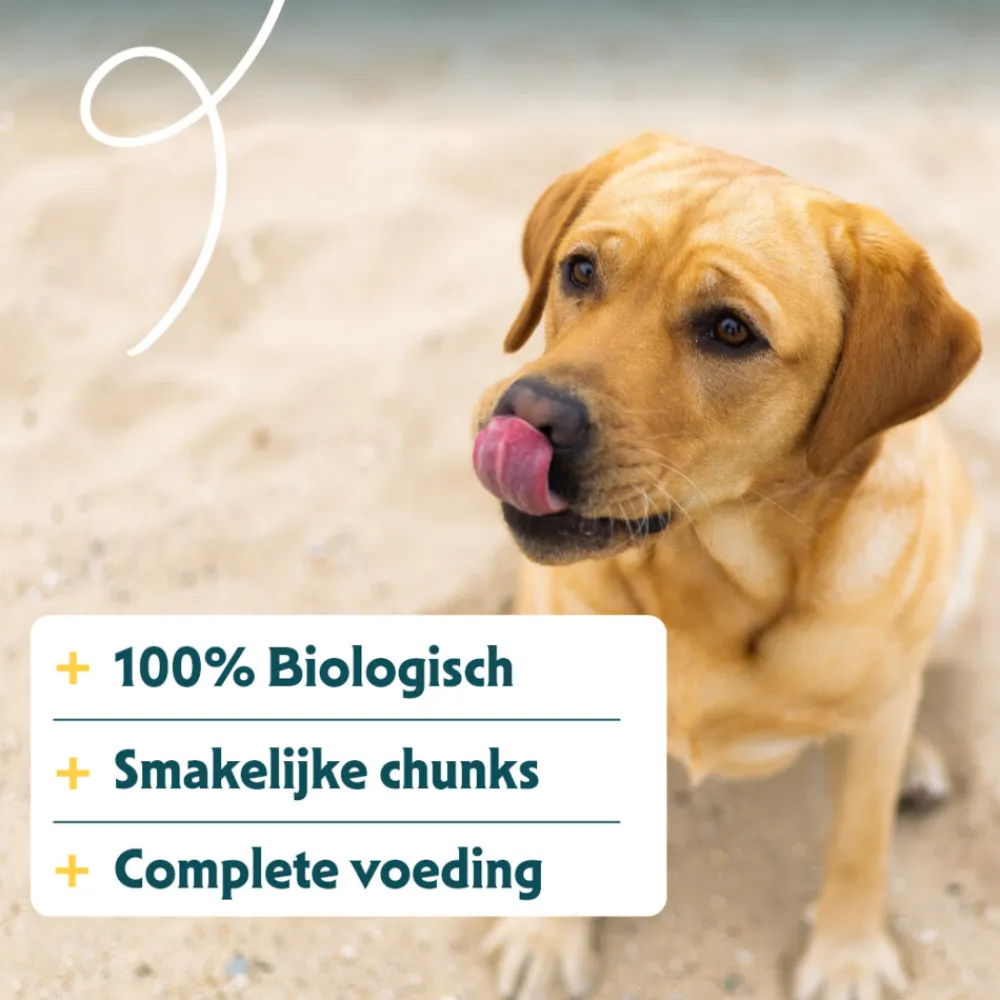 Hondenvoer<Yarrah 12x Bio Hondenvoer Chunks Rund 405 gr